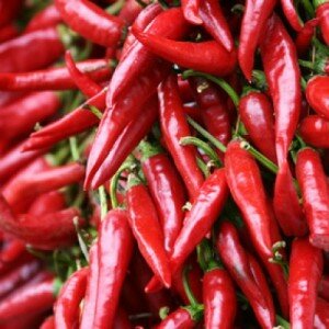 chili-400x400